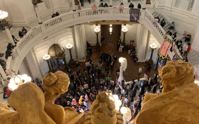 500 Advocates Flood Capitol to Demand Parole Reform for Lifers